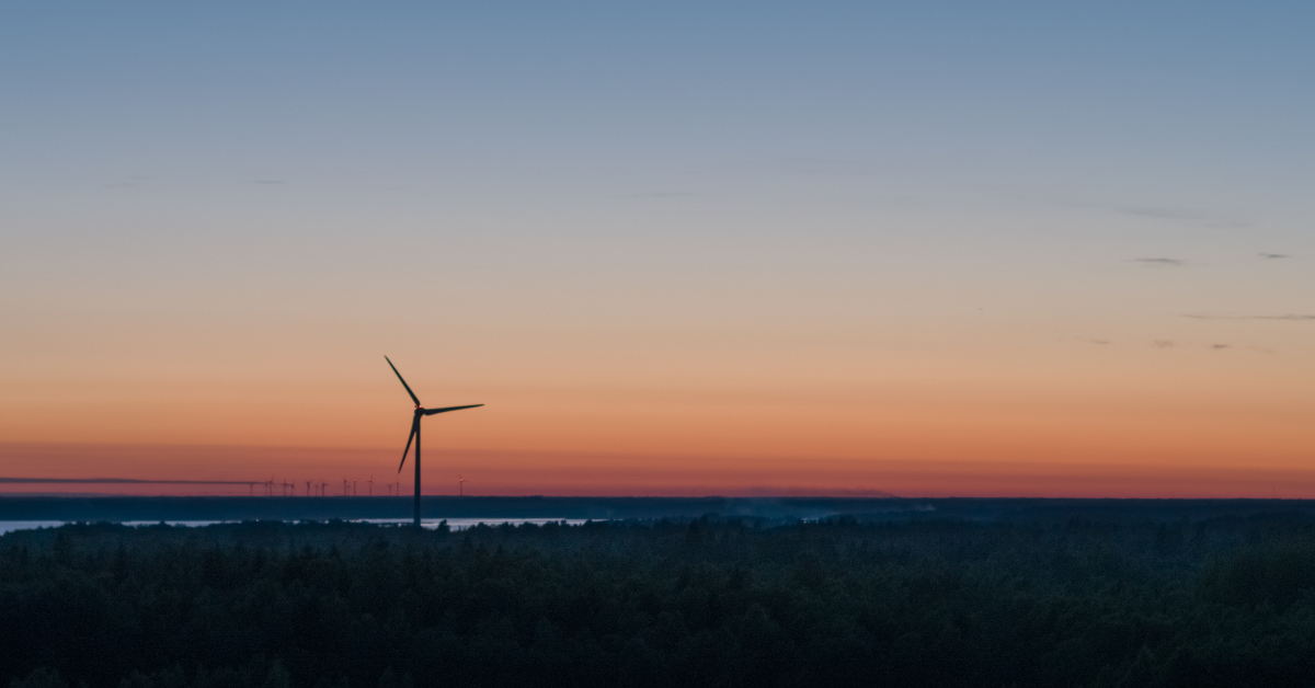 5 High Impact Carbon Reduction Tips for Small to Medium-sized Enterprises (SMEs) | Zeigo Sustainability Software | zeigo sustainability software
