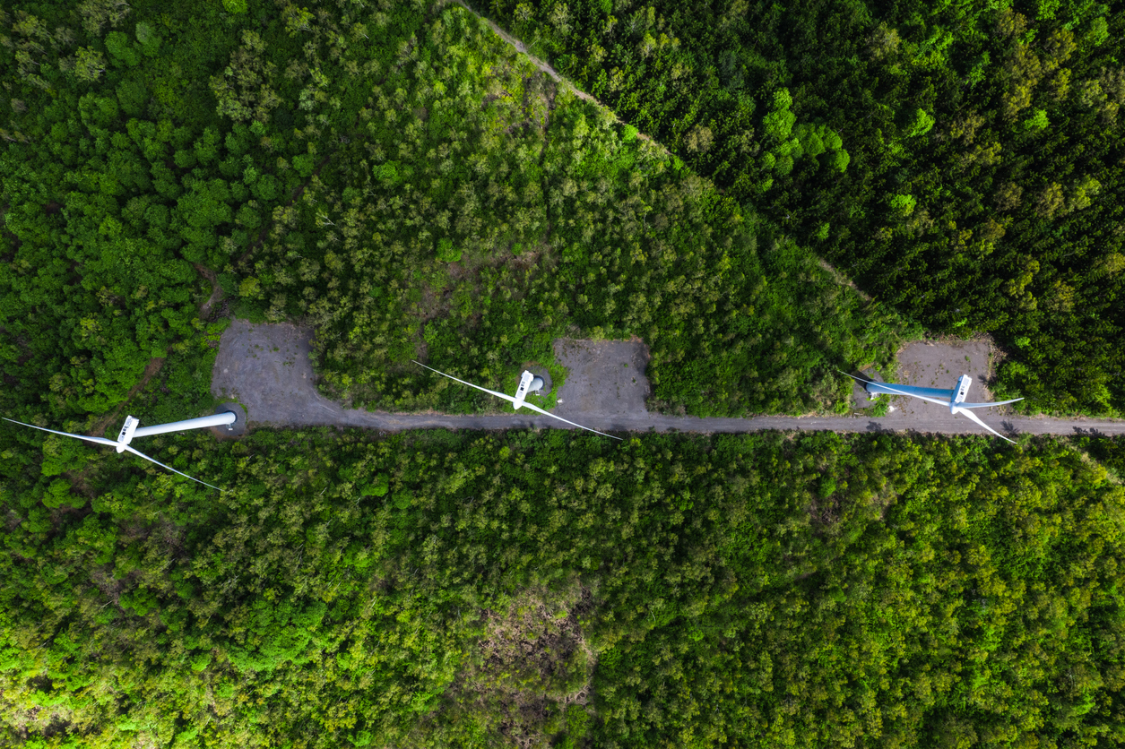 What Have REGOs Got To Do With It? The Importance of Hedging | Zeigo Sustainability Software | zeigo sustainability software